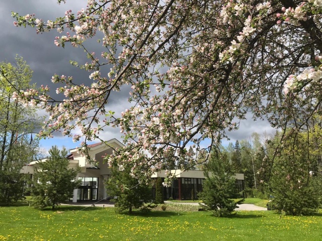 Майские праздники