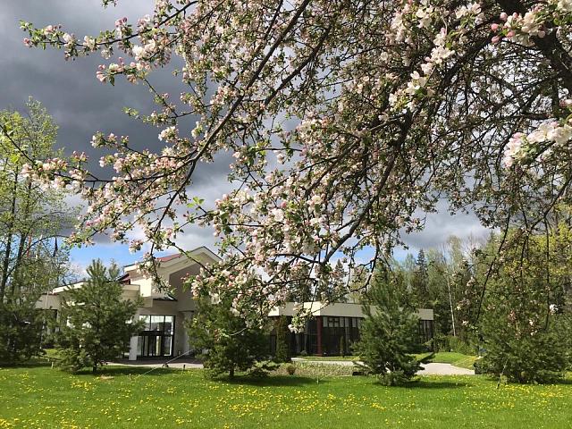 Майские праздники