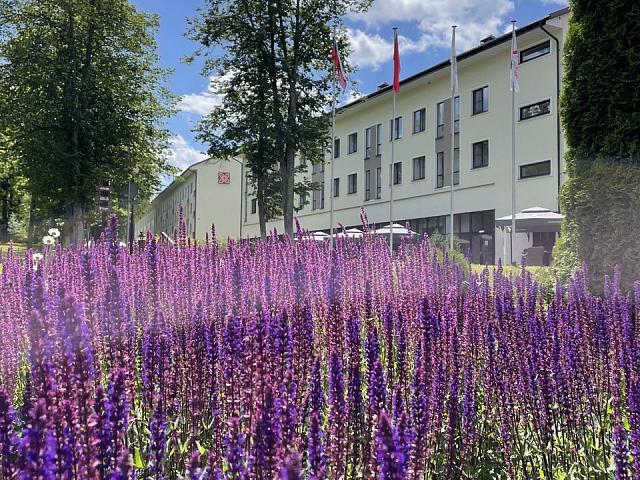 Программа анимации на праздники